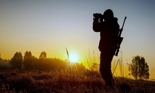 Rothirsch im Morgennebel
