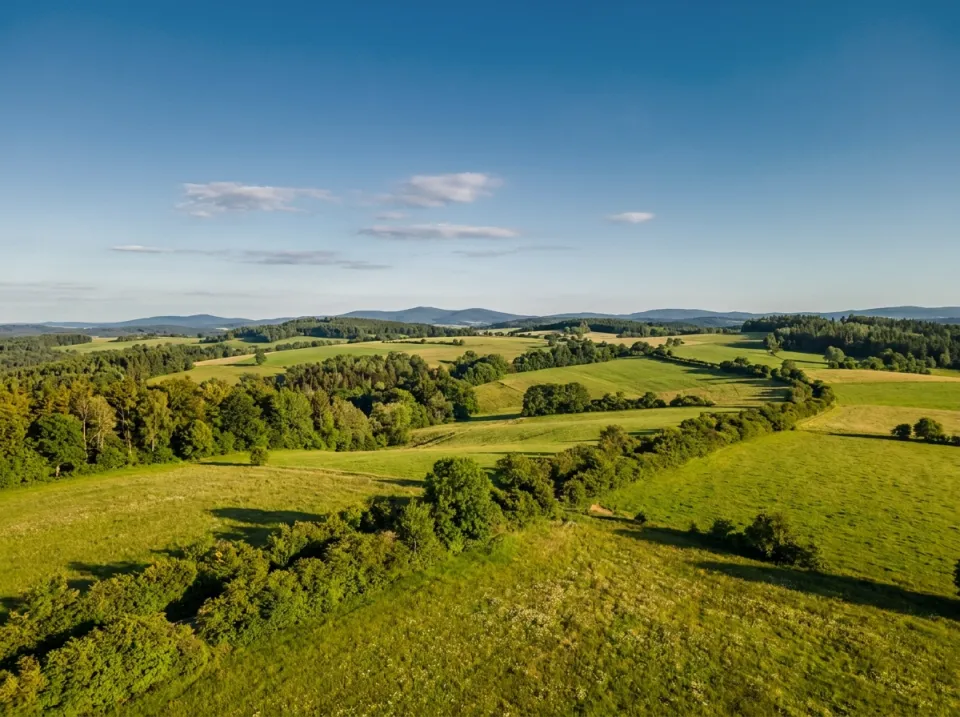 Weite Hügellandschaft der Rhön mit Wäldern und Wiesen unter sanft blauem Himmel